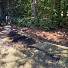 Spot-on-Sod-Installation-in-Oxford-MS 0